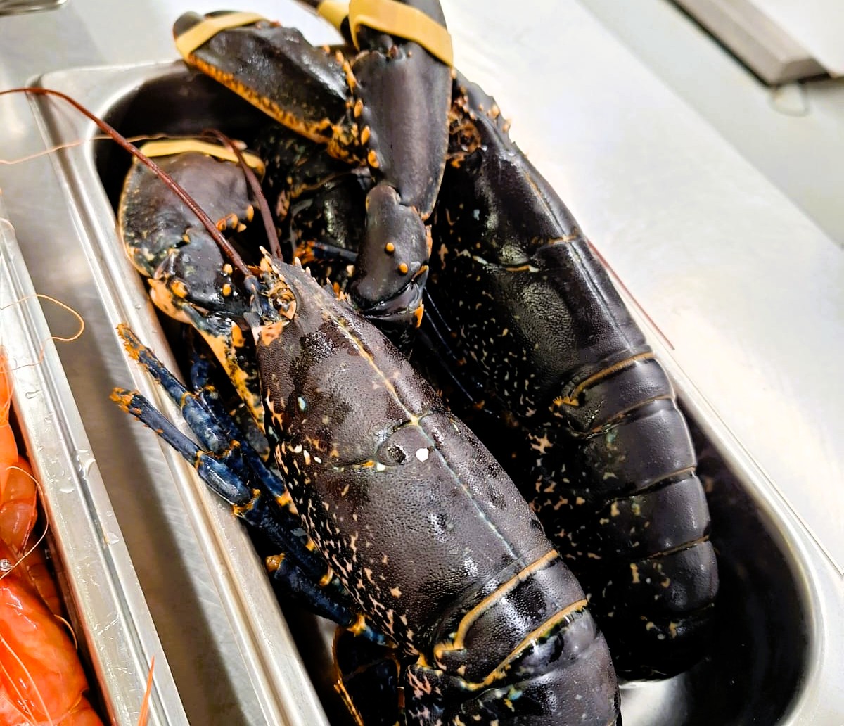 KRAM ANDORRA, la millor marisqueria d’Andorra! 🦞🐟✨ 🌊 El millor marisc t’espera a KRAM ANDORRA! 🌊 Ja ho tenim tot a punt! Una selecció de marisc i peix fresc acabat d’arribar per aquest divendres i el cap de setmana! 🍤 Gambes de primera qualitat 🦞 Llamàntol blau i escamarlans frescos 🐙 Pop deliciós 🐟 Peix fresc seleccionat amb cura 🔥 Sabors intensos, textura perfecta i cuina impecable! 📍 Reserva la teva taula al WhatsApp 696666 i gaudeix de la millor marisqueria d’Andorra al centre comercial d’Andorra la Vella. #KRAMAndorra #MariscFresc #PeixDeQualitat #SaborsDelMar #CuinaPremium #MenjarQueSorprèn #MomentsInoblidables #OnMenjarBé #ExperiènciaGastronòmica #AndorraTaste #PassióPelMarisc #GastronomiaDeQualitat #CuinaQueEnamora #ReservaJa #MenjarAmbEncant #SaborsÚnics #RestaurantAndorralavella #lamillorcuinadepeix #peiximarisc #lesmillorsllotges #apatsunics i #apatsselectes #Andorrarestaurantes #dinarsdenegocis #dinarsfamiliars #ibericos #foodporn #bbqparty #bbqfood #bbqtiktok #bbq