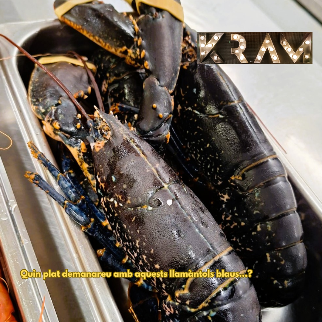 Llamàntols blaus del Cantàbric i la varietat de plats que podem preparar a KRAM ANDORRA! 🦞✨ 🌊 L’excel·lència del mar arriba a KRAM! 🌊