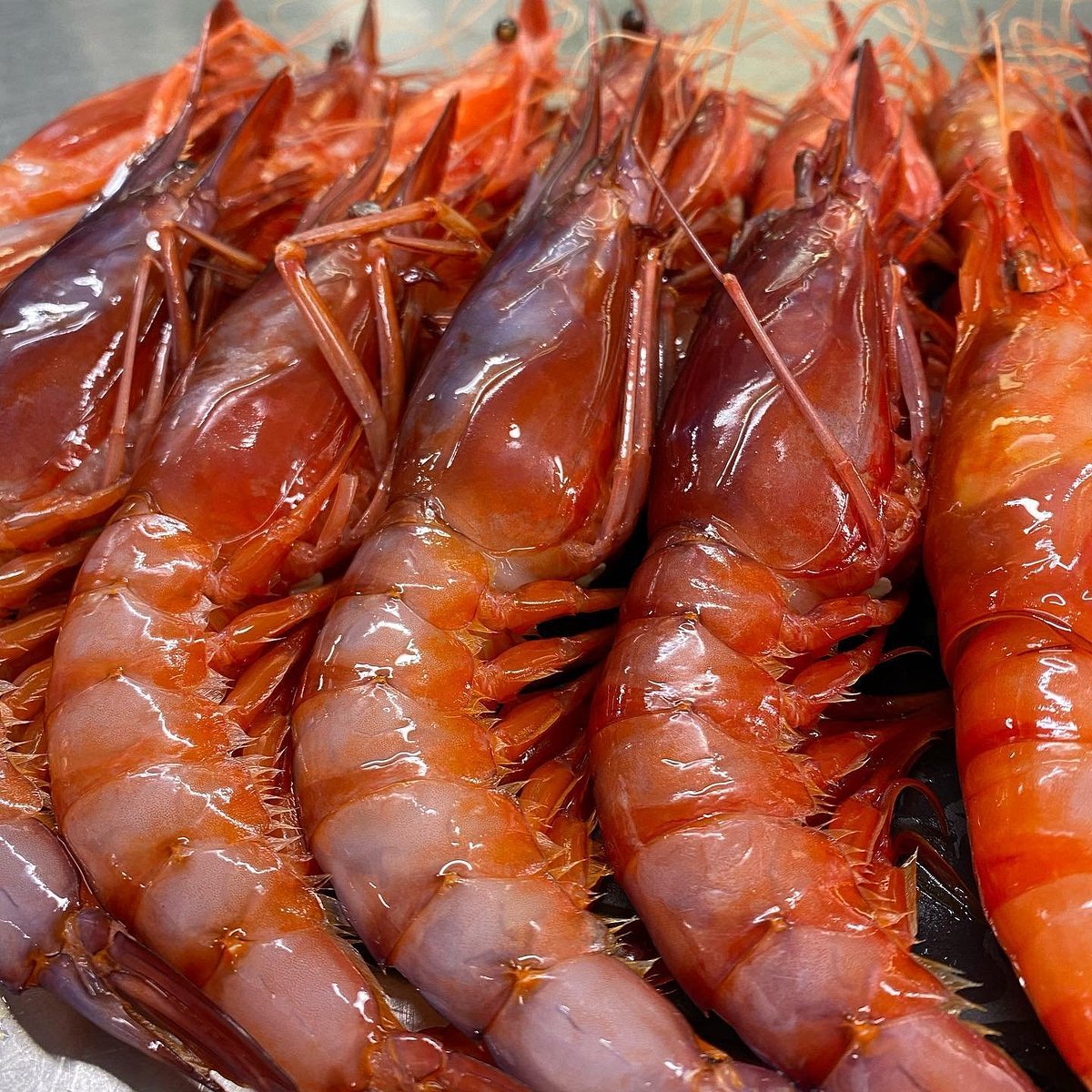 🦞🥩 KRAM L’EXCEL·LÈNCIA GASTRONÒMICA AL CENTRE D’ANDORRA LA VELLA   Al cor del centre comercial d’Andorra la Vella, Restaurant KRAM és sinònim de producte prèmium i cuina de categoria.  Tant si ets amant dels mariscos més frescos, dels peixos de qualitat indiscutible, com si prefereixes l’intens sabor de les nostres carns madurades, aquí trobaràs el teu paradís gastronòmic.   Cada plat està pensat per destacar la matèria primera i oferir una experiència que combina elegància, passió i autenticitat. A KRAM no cuinem per sorprendre... cuinem per emocionar. 📍 Vine i descobreix el sabor que marca la diferència.   Només a KRAM – Centre Comercial Andorra la Vella. #RestaurantKRAM #AndorraLaVella #MariscFresc #PeixDeQualitat #CarnMadurada #CuinaPremium #GastronomiaAndorrana #FoodiesAndorra #AltaCuina #KRAMExperience #MenjaAmbEstil #ProducteTop #CellerSelecte #PlatsAmbCaràcter #AndorraEsMenja #CentreComercialAndorra #MomentsGourmet #SaborAutèntic #PlatsQueEnamoren #SofisticacióAlPlat #CuinaAmbÀnima #KRAMEssència #ExperiènciaKRAM #AndorraTéSabor #RestaurantAmbEstil #DetaliGust #SaborsQueSedueixen #XefAmbPassió #CuinaContemporània #ExigènciaGastronòmica #DescobreixKRAM