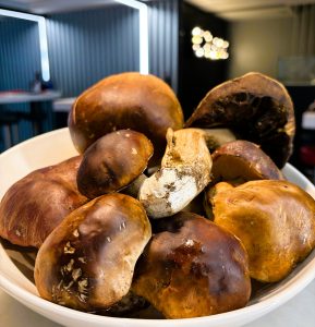 Els ceps, els reis dels bolets a la nostra cuina A Restaurant KRAM, possiblement la millor marisqueria d’Andorra la Vella, també celebrem els sabors de la terra. I entre ells, hi ha un protagonista indiscutible: el cep (Boletus). Dins d’aquest gènere trobem diverses espècies molt apreciades a la cuina catalana i espanyola: Boletus edulis – el clàssic cep blanc, saborós i versàtil Boletus aereus – conegut com el “sureño oscuro”, intens i aromàtic Boletus pinophilus – el cep roig, amb notes més marcades i carn fermíssima Boletus reticulatus – el cep d’estiu, delicat i amb un toc suau. Els ceps són ideals per acompanyar carns, peixos i mariscs, o per brillar en plats com carpaccios, risottos i guisats tradicionals. Baixos en greixos i rics en proteïnes, vitamines i minerals, són un autèntic tresor de la natura. Vine a Restaurant KRAM i descobreix com transformem aquests bolets en plats que uneixen la cuina de muntanya amb l’excel·lència del marisc. #RestaurantKRAM #AndorraLaVella #Ceps #BoletsDeTemporada #GastronomiaCatalana #AltaCuina #SaborsDeMuntanya