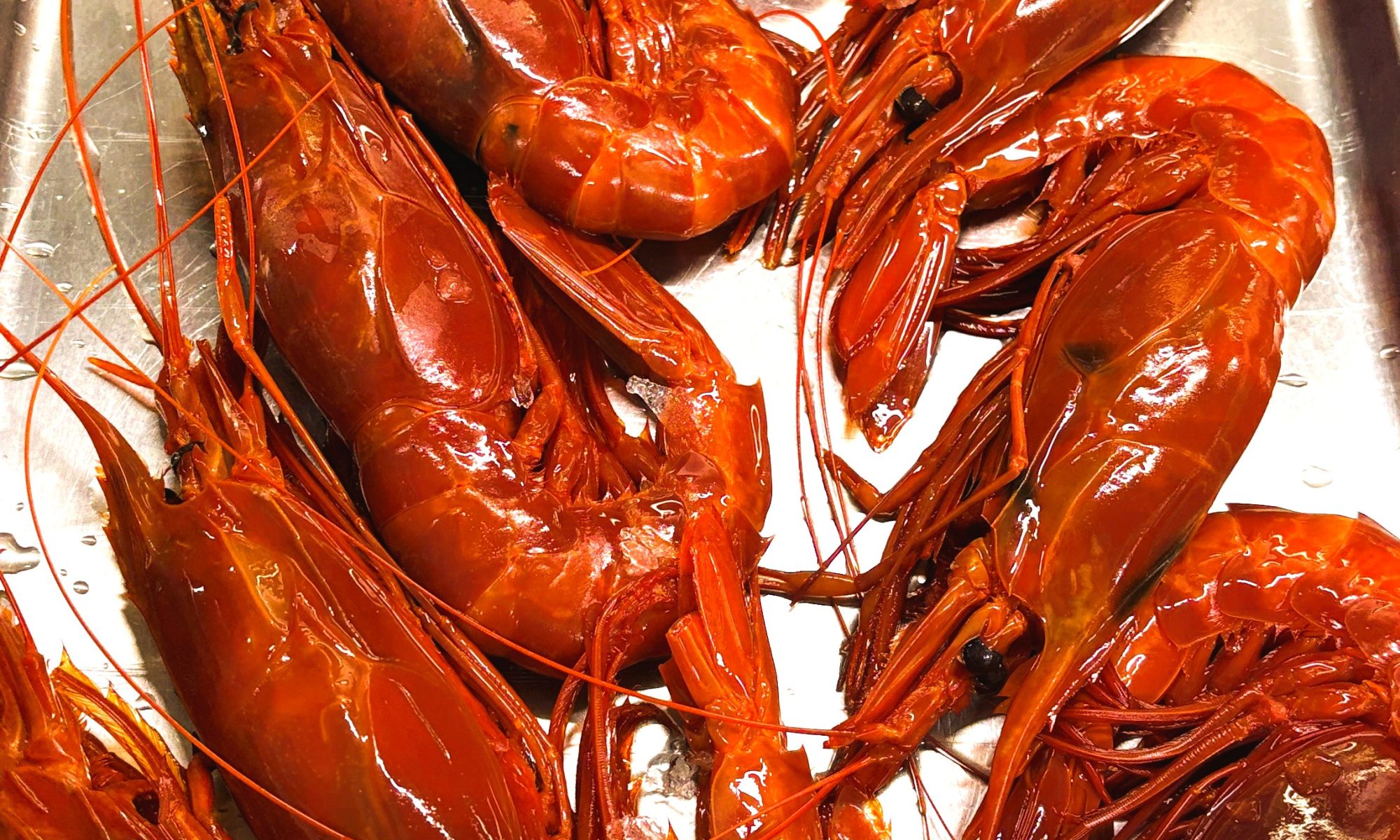 🦞✨ Avui a KRAM hem viscut un autèntic festival de marisc — possiblement la millor marisqueria d’Andorra la Vella en plena essència. Hem ofert un àpat extraordinari amb marisc portat directament del mar Cantàbric, a Astúries, una de les zones més prestigioses del món per la qualitat i intensitat del seu producte. El marisc asturià és únic per molts motius: Aigües fredes i riques del Cantàbric, que donen una carn més ferma i un sabor més profund. Marisqueig artesanal i sostenible, respectant vedes i tradicions. Espècies emblemàtiques amb noms locals: l’andarica (nécora), la ñocla (bou de mar), el bugre (llamàntol), els percebes, els oricios (eriçons) o les “llampares”. Autenticitat gastronòmica, sovint servit simplement bullit per respectar-ne el sabor, o en plats clàssics com l’arròs amb bugre o els guisats mariners típics de la terra Asturiana. A KRAM ens apassiona portar-vos aquesta qualitat incomparable, directa del Cantàbric al vostre plat, perquè gaudiu d’un marisc fresc, intens i fidel a la tradició. Ho podeu encarregar al nostre WhatsApp +376696666 Gràcies per confiar en nosaltres un dia més. #KRAMAndorra #MariscDelCantàbric #GastronomiaAndorrana #Astúries #ProducteFresc