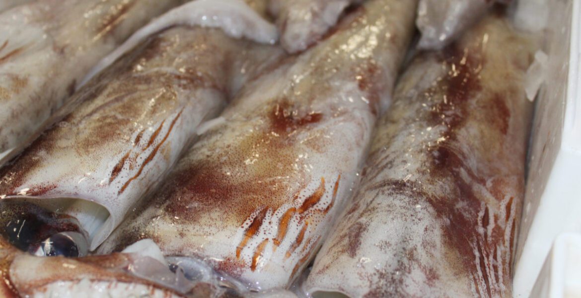 KramAndorra #ArrosNegre #CalamarDePotera #CloïssesDelCarril #GastronomiaAndorra perfecció del mar arriba a la taula del KRAM. ✨🌊 Avui us presentem un plat on la matèria primera és l'única protagonista: el nostre Arròs Negre de calamar de “potera” i cloïsses del “Carril”. Per què és especial? 🦑 Calamar de potera: Seleccionat per la seva màxima qualitat. Pescat un a un amb ham durant l'època d'aparellament, moment en què la seva textura es transforma per ser molt més melosa i el seu sabor es torna increïblement intens. 🐚 Cloïsses del Carril: Directament des de la ria d'Arousa (Galícia). Un producte de cultiu artesanal, reconegut mundialment per la seva carn ferma i un gust de mar pur que eleva l'arròs a una altra dimensió. A la cuina del KRAM no fem servir dreceres, només producte amb origen i respecte per la tradició marinera. Vens a tastar la diferència? 📍 Estem al centre d'Andorra la Vella. 📞 Reserves al +376 696 666 o per DM. #KramAndorra #ArrosNegre #CalamarDePotera #CloïssesDelCarril #GastronomiaAndorra