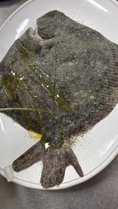 L'essència del mar es troba amb la força del foc al nostre Josper. 🔥🐟 Avui us presentem un dels grans protagonistes de la nostra carta: el Turbot a la brasa. Seleccionem les millors peces per cuinar-les amb la precisió de la brasa, aconseguint una textura melosa i aquell gust fumat tan característic que només la bona brasa pot donar. Un producte excepcional que respectem al màxim per portar-vos el millor del Mediterrani al cor d'Andorra. Però cap àpat suculent està realment complet sense el contrast dolç. 🍏✨ Per posar el punt final perfecte, el nostre xef Jordi Guerrero proposa la seva versió del Pastís de Poma (Tatin). Una combinació de textures cruixents, pomes caramel·litzades i el punt just de dolçor que us farà tancar els ulls a cada cullerada. Veniu a viure l'experiència KRAM a l'eix comercial del Principat d’Andorra 📍 Av. Meritxell, 92. Andorra la Vella. 📞 Reserves i contacte: +376 696 666 #KramAndorra #JordiGuerrero #TurbotAlJosper #AndorraGastronomia #PastisDePoma