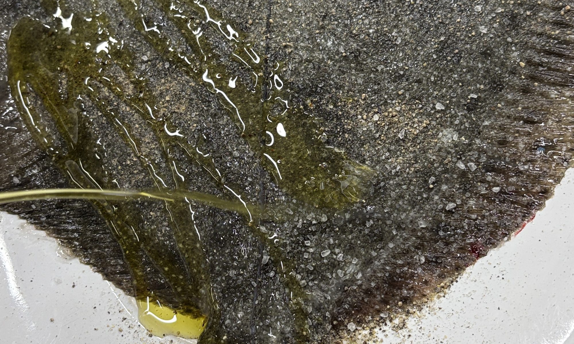 L'essència del mar es troba amb la força del foc al nostre Josper. 🔥🐟 Avui us presentem un dels grans protagonistes de la nostra carta: el Turbot a la brasa. Seleccionem les millors peces per cuinar-les amb la precisió de la brasa, aconseguint una textura melosa i aquell gust fumat tan característic que només la bona brasa pot donar. Un producte excepcional que respectem al màxim per portar-vos el millor del Mediterrani al cor d'Andorra. Però cap àpat suculent està realment complet sense el contrast dolç. 🍏✨ Per posar el punt final perfecte, el nostre xef Jordi Guerrero proposa la seva versió del Pastís de Poma (Tatin). Una combinació de textures cruixents, pomes caramel·litzades i el punt just de dolçor que us farà tancar els ulls a cada cullerada. Veniu a viure l'experiència KRAM a l'eix comercial del Principat d’Andorra 📍 Av. Meritxell, 92. Andorra la Vella. 📞 Reserves i contacte: +376 696 666 #KramAndorra #JordiGuerrero #TurbotAlJosper #AndorraGastronomia #PastisDePoma