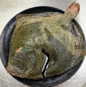 A KRAM ANDORRA tenim dues autèntiques joies que defineixen la nostra manera d’entendre la gastronomia: el Turbot Salvatge —al forn o a la brasa Josper, sempre amb aquell punt perfecte que en ressalta la textura i el sabor— i les Ostres Gillardeau, reconegudes arreu com unes de les millors del món per la seva elegància, carnositat i equilibri. Aquests dos protagonistes, combinats amb el nostre celler, seleccionat amb cura perquè cada copa elevi l’experiència, són la fórmula amb què els nostres clients aconsegueixen una satisfacció més gran, plena i memorable. Plats que parlen per si sols, producte de primer nivell i una cuina que respecta l’essència i la tradició de cada ingredient. Gràcies per confiar en nosaltres i per deixar-vos sorprendre cada vegada. Us esperem per continuar gaudint plegats. #KramAndorra #TurbotSalvatge #OstresGillardeau #CellerKram #GastrobarAndorra